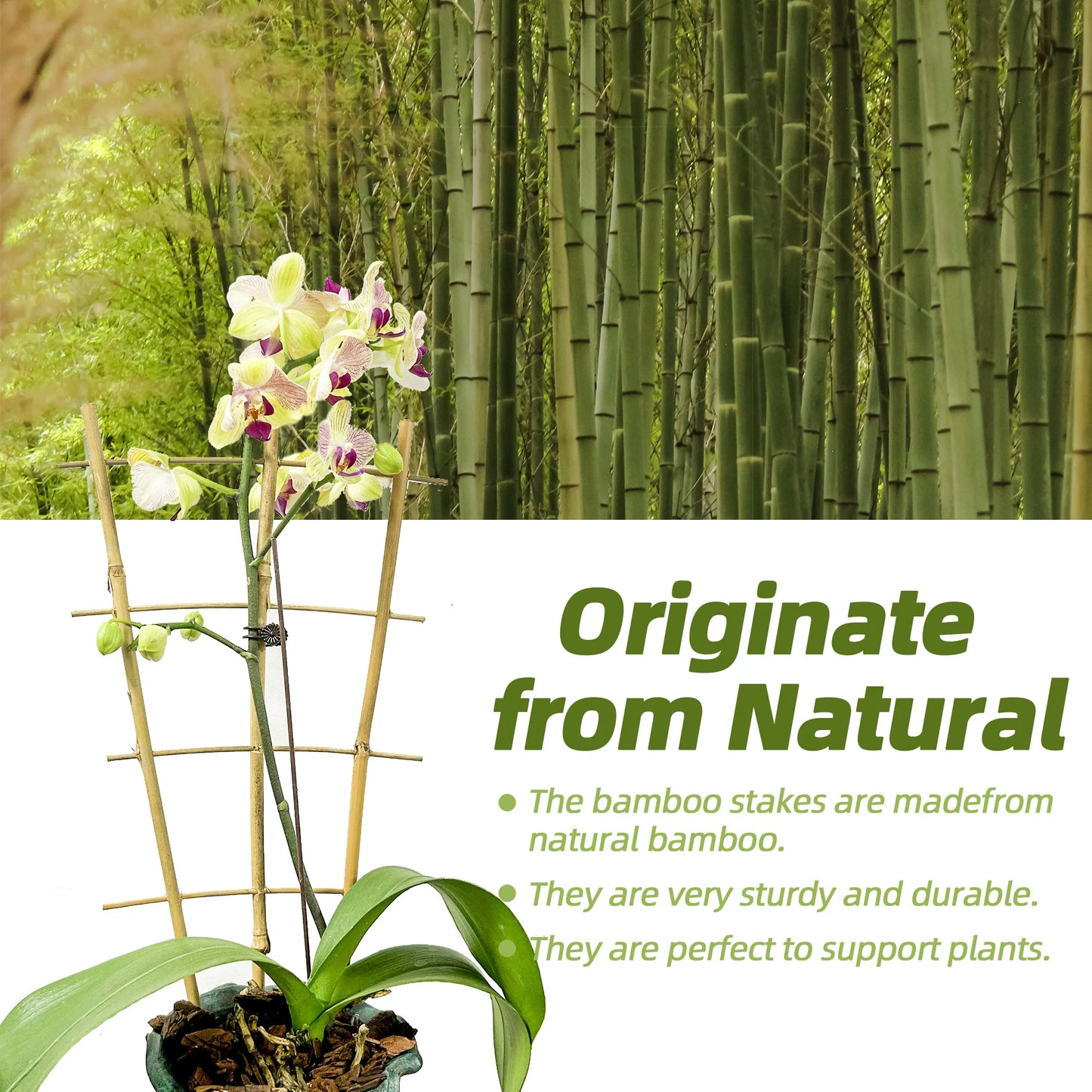 10 Pack Bamboo Trellis For Climbing Plants