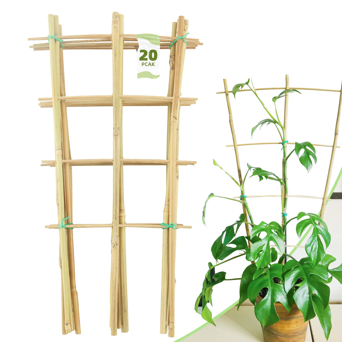 10 Pack Bamboo Trellis For Climbing Plants