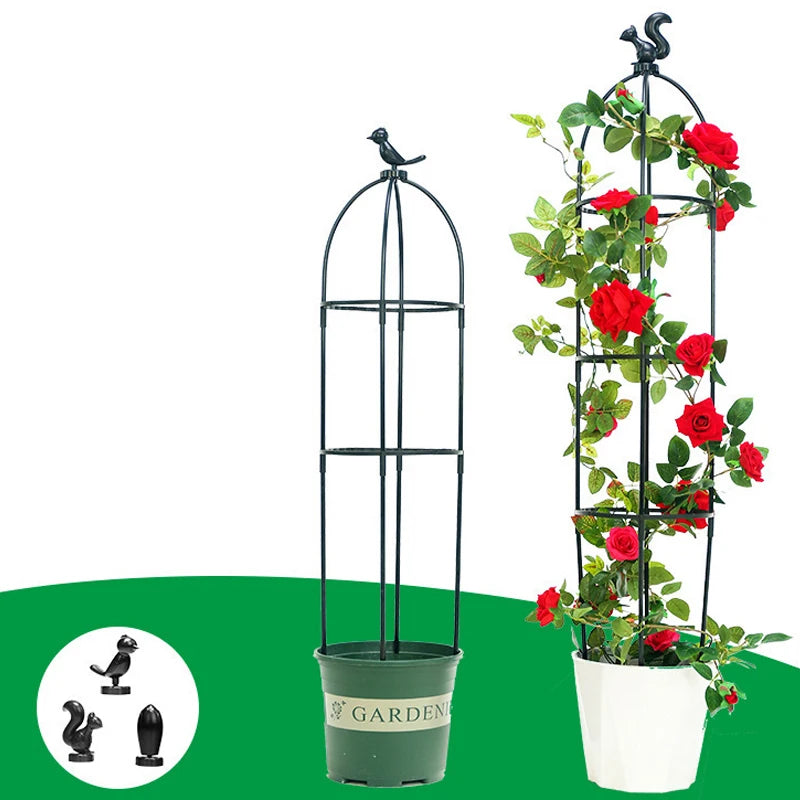1 Set Climbing Plant Trellis