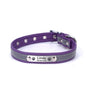 Personalized  LeatherEngraved ID Reflective Pet Collar