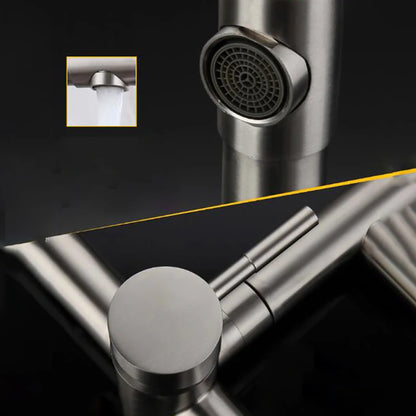 Stainless Steel In-wall Double Hole 360° Foucet