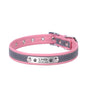 Personalized  LeatherEngraved ID Reflective Pet Collar