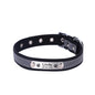 Personalized  LeatherEngraved ID Reflective Pet Collar