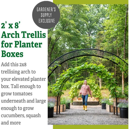Garden Arbor fits 2' x 8' Elevated Planter Boxes