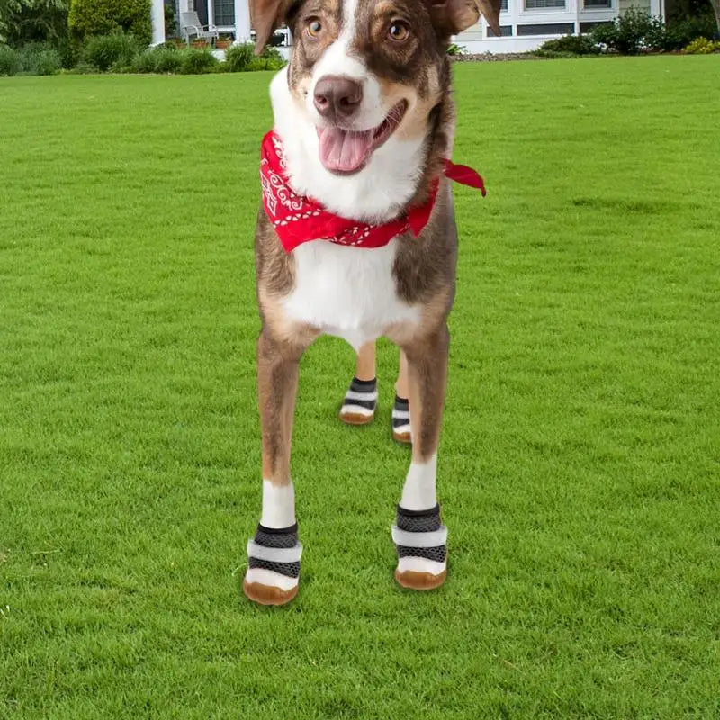 Small Dog Shoes Breathable shoes