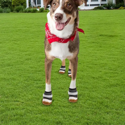 Small Dog Shoes Breathable shoes